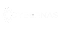 cybernas logo white.png